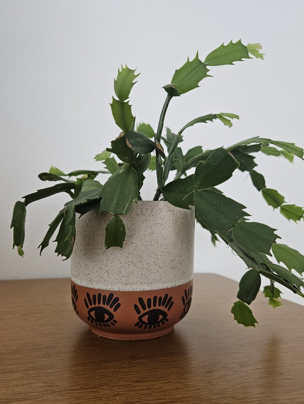 speckled painted eye ceramic boho hippie spooky mystical indie urban planter cup